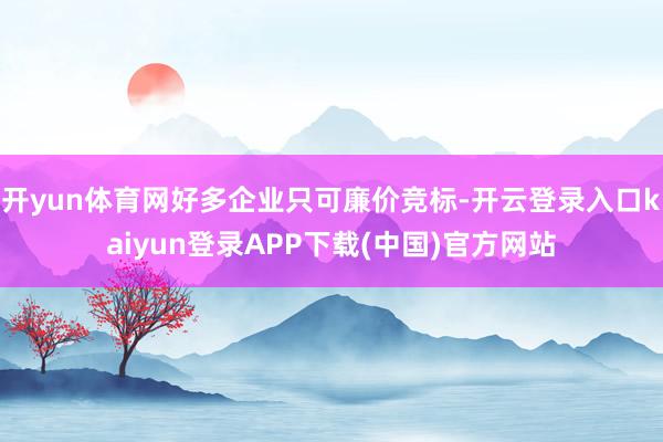 开yun体育网好多企业只可廉价竞标-开云登录入口kaiyun登录APP下载(中国)官方网站