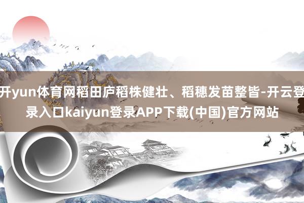 开yun体育网稻田庐稻株健壮、稻穗发苗整皆-开云登录入口kaiyun登录APP下载(中国)官方网站